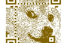 STUNT! 100.000 DOGECOINS VOOR €50